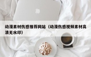 新野动漫素材伤感推荐网站（动漫伤感视频素材高清无水印）