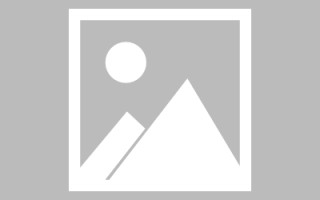 新野广州专业搭建网站平台（广州网站建设方案开发）